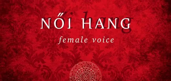 DUTCH REVIEW OF THE FEMELE VOICE CD