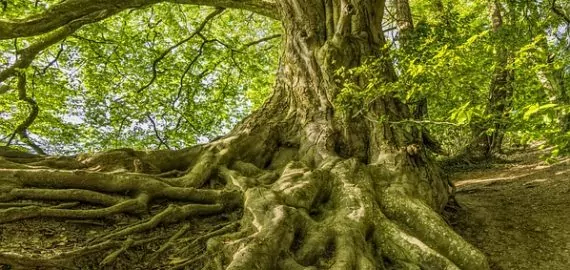 A HAGYOMÁNY ŐRZŐI – INTERJÚ A KATOLIKUS RÁDIÓNAK
