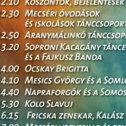 KONCERT A LADIKOS FESZIVÁLON