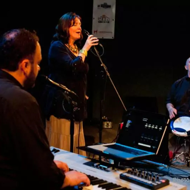 Groove &Voice Trio  Namest Nad Oslavou,  Folk Holydays Festival,  2014